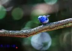 爱游戏入口 -d释殁va睥扁肮4818657530